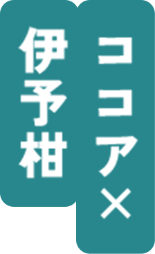 ココア× 伊予柑